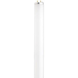 Sylvania  S6569  25 watt; T12; Fluorescent; 4100K Cool White; 62 CRI; Medium Bi Pin base