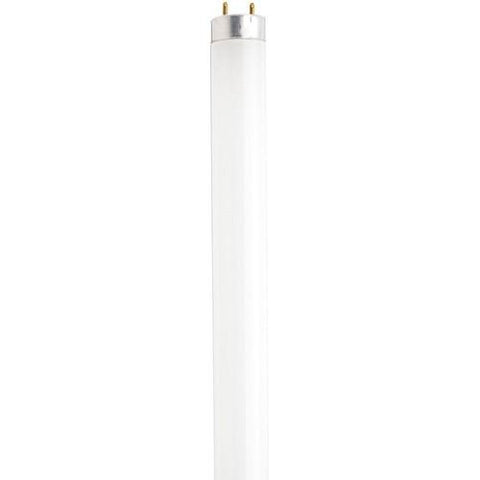 Sylvania  S6525  17 watt; T8; Fluorescent; 4100K Cool White; 82 CRI; Medium Bi Pin base